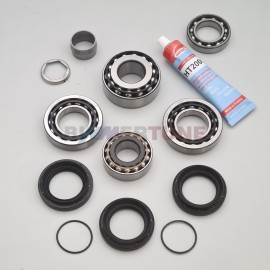 Front differential bearing and seal rebuild kit |Xdrive & Sdrive|